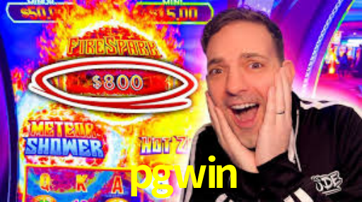 PIX Instantâneo pgwin